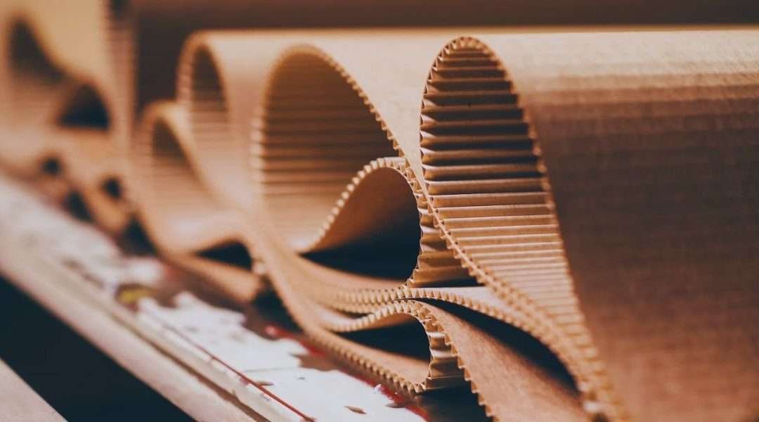 SuperCorrExpo® 2024: O Futuro da Indústria de Papelão Ondulado