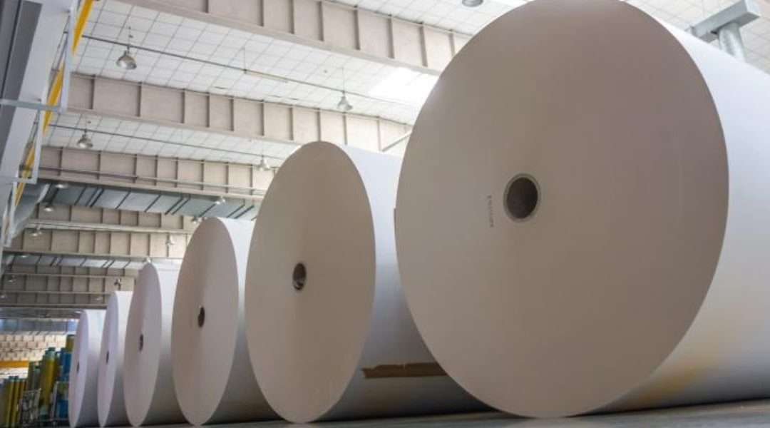 Exportação de Celulose e Papel no Brasil: Desafios e Oportunidades