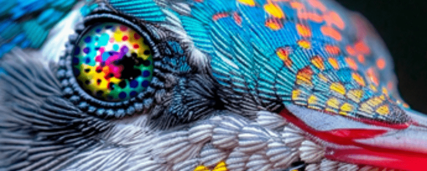 Flexo & Labels + Flexo & Pack apresenta seu mascote oficial: o beija-flor que traduz a essência da inovação em rótulos e embalagens