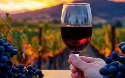 Como as Novas Regiões do Vinho Brasileiro Transformam o Mercado de Rótulos