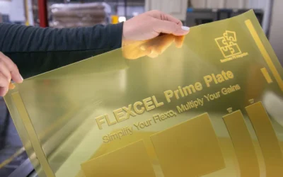 FLEXCEL Prime Plate: seis meses depois