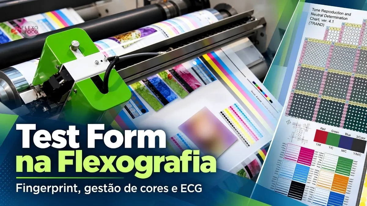 Test Form flexográfico para caracterização de impressão Descrever os campos de cor, escalas tonais e elementos de controle efetivamente visíveis na Test Form selecionada.
